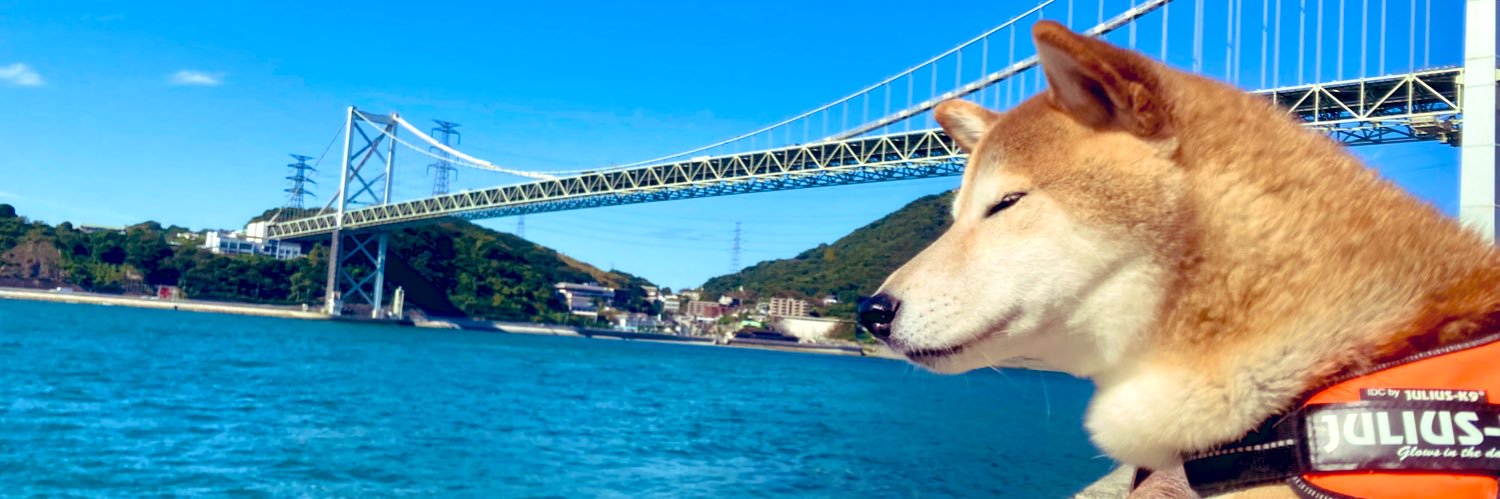 153cmkazu's profile banner image