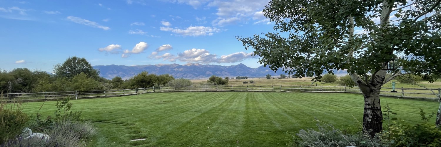 Luke Mitchell banner