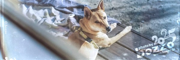 bozzo_mori Profile Banner