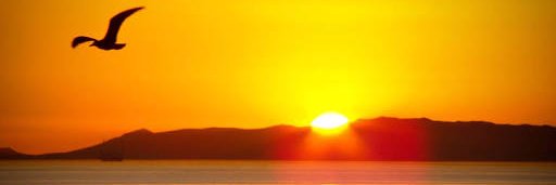 sureshchronicle's profile banner image