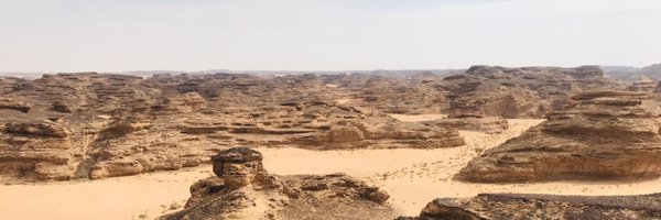 BonnyStutsel Profile Banner