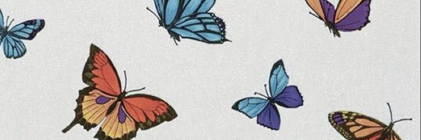 kalieebear's profile banner image
