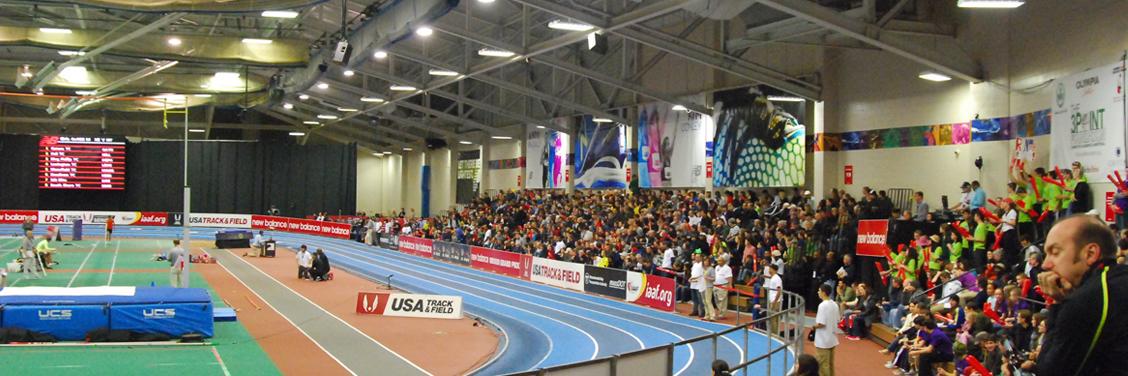 Scarlet Hawks T&F banner