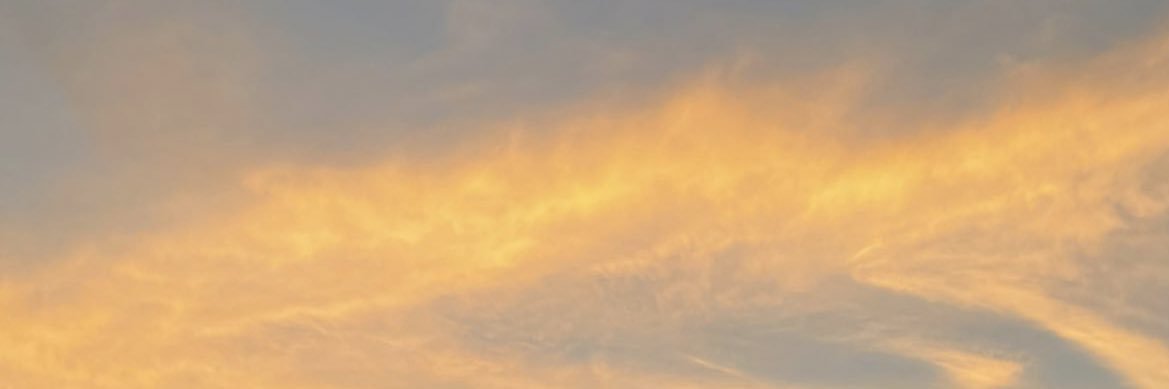 renaIovesyou's profile banner image