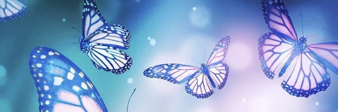 bennett_india's profile banner image