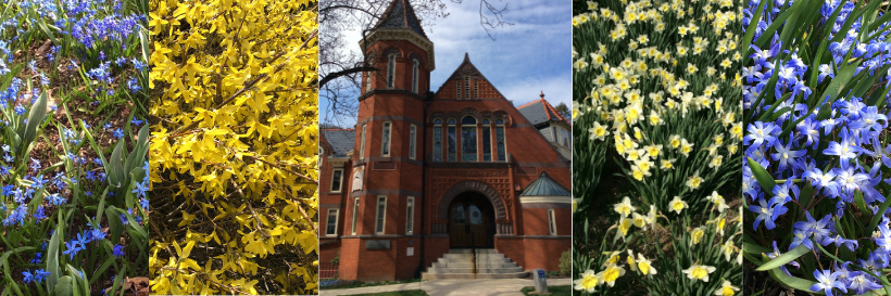 Millersville Alumni banner