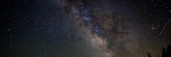 ZaidMalek Profile Banner