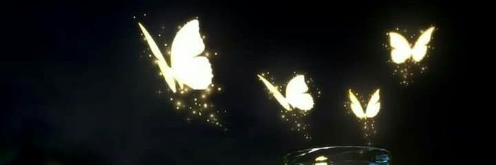 amuur12's profile banner image