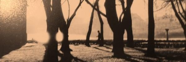 diamartin Profile Banner