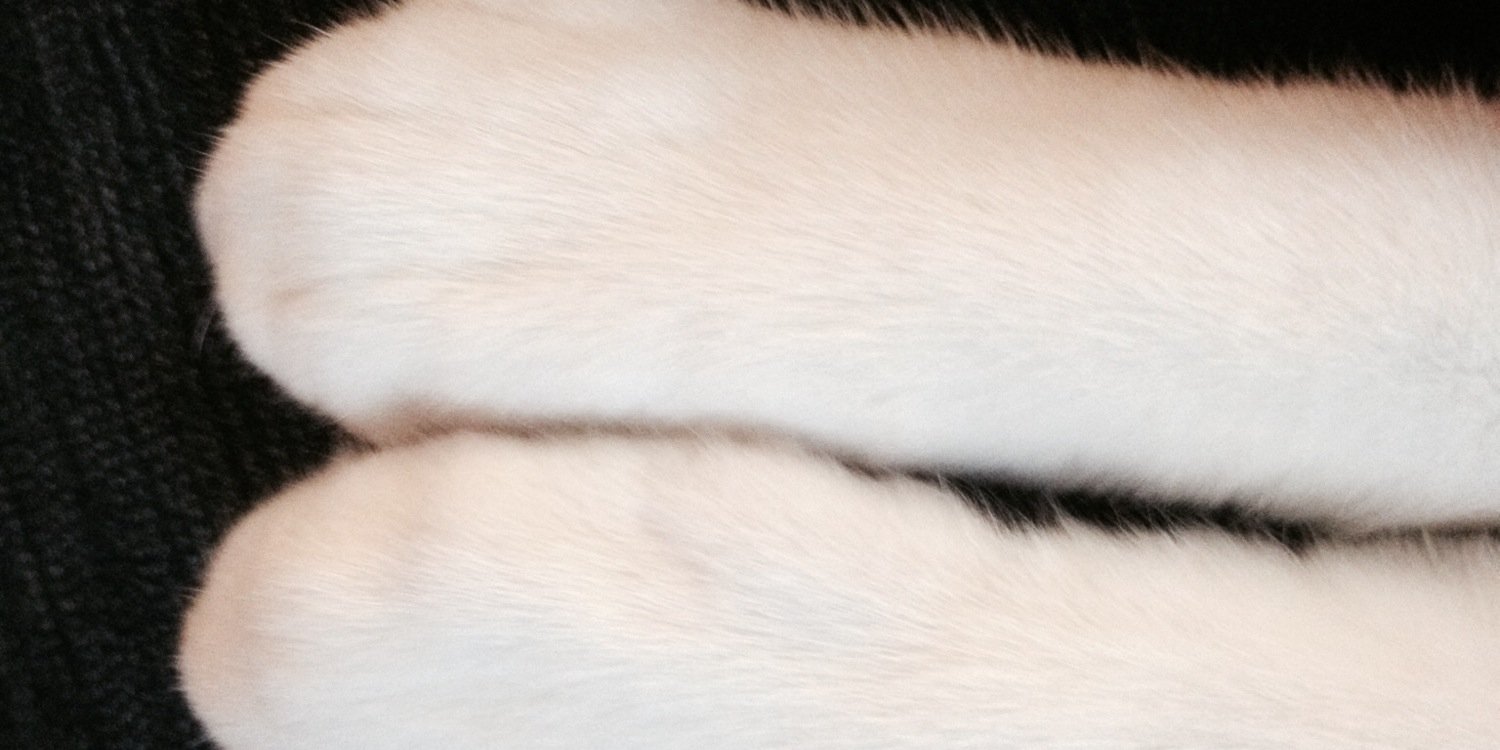 709amy's profile banner image