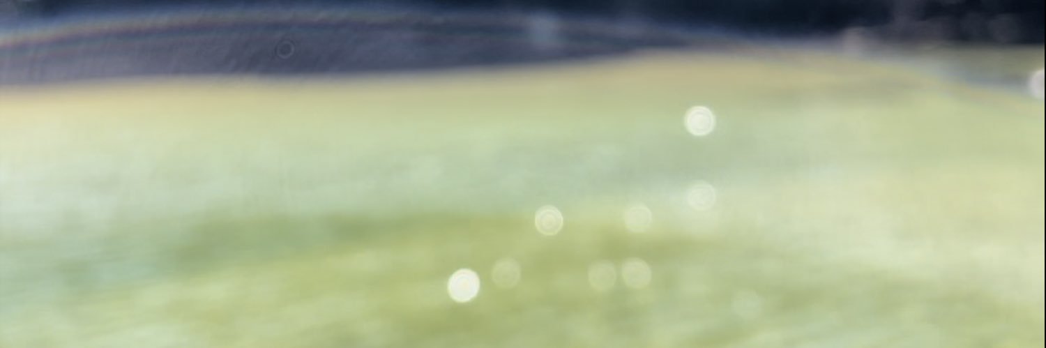 picklesjan's profile banner image