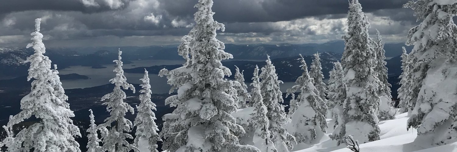 SnowboardWisdom's profile banner image