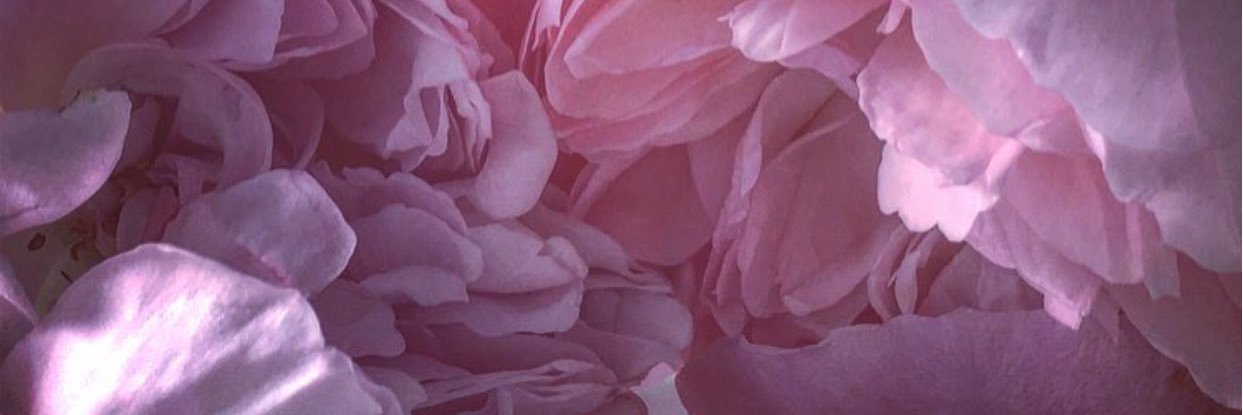 Sonja Yelich's banner