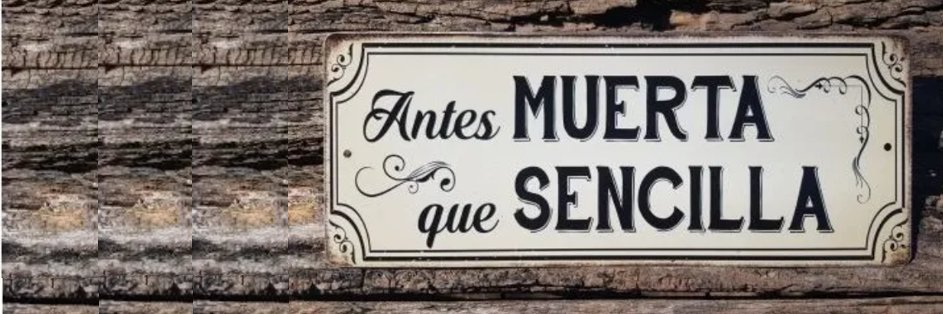 Pati Rodriguez Larriera ⁷ 🦋 banner