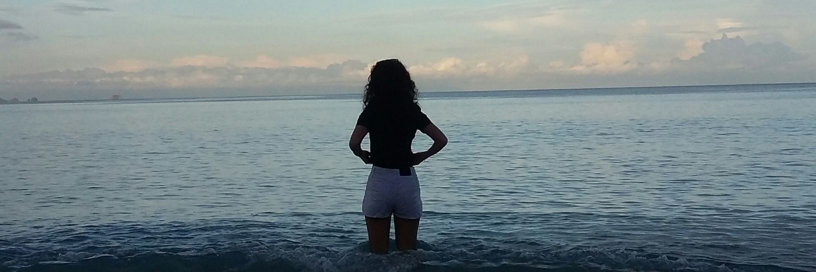 pristineapolto's profile banner image