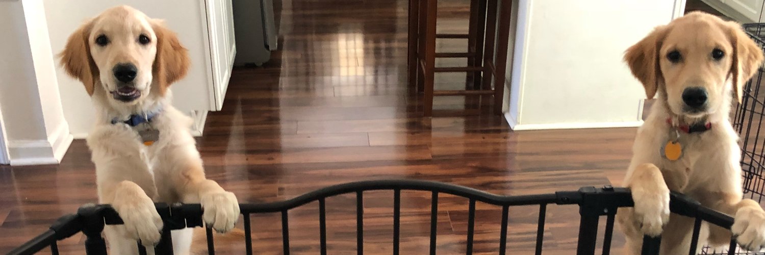 MacKenzie Bates banner