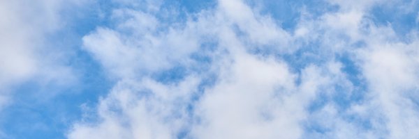 metsims Profile Banner