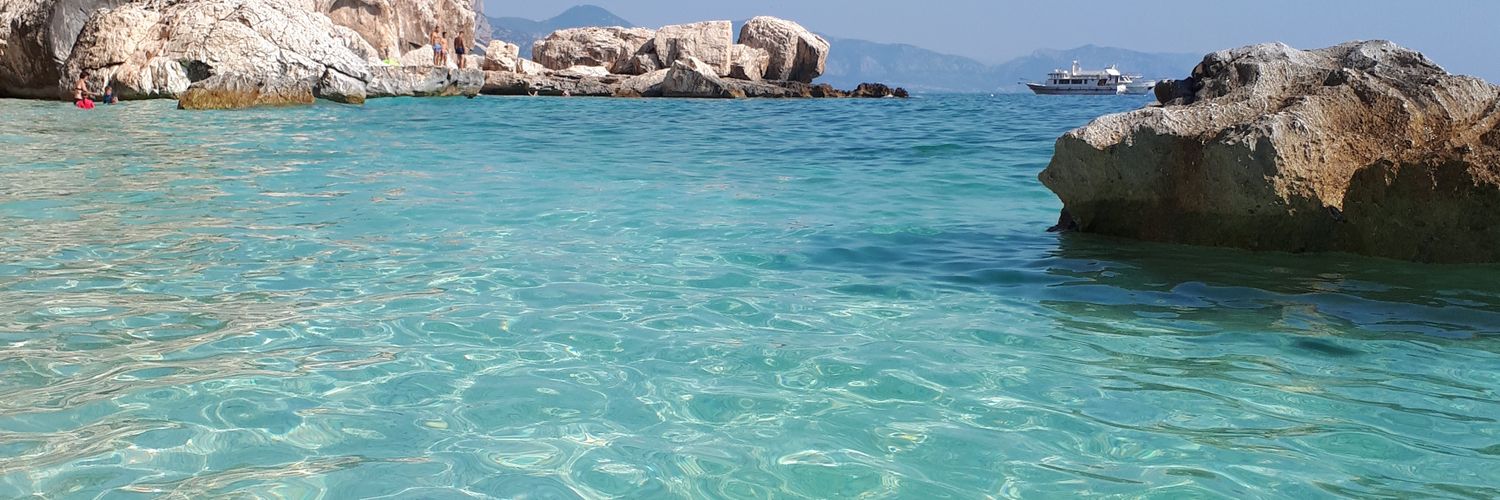 Dr Laura Watson banner