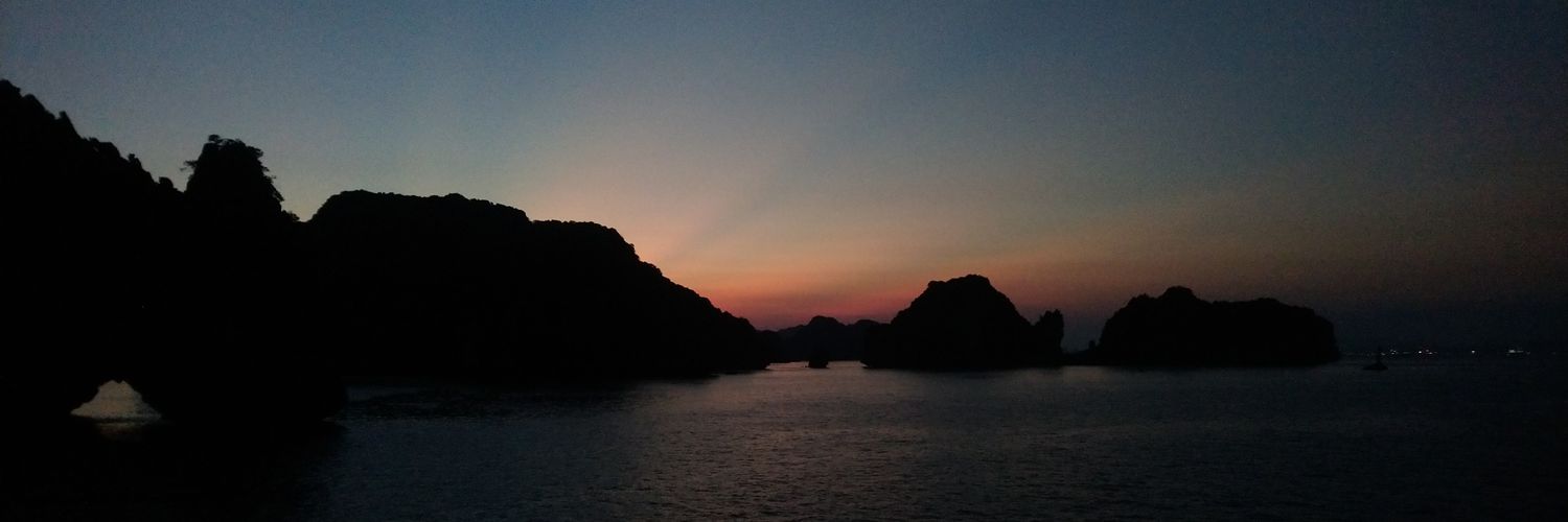 harrythewig's profile banner image