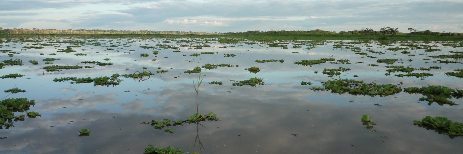 Guillaume Leyronnas - @leyronnas@eldritch.cafe banner