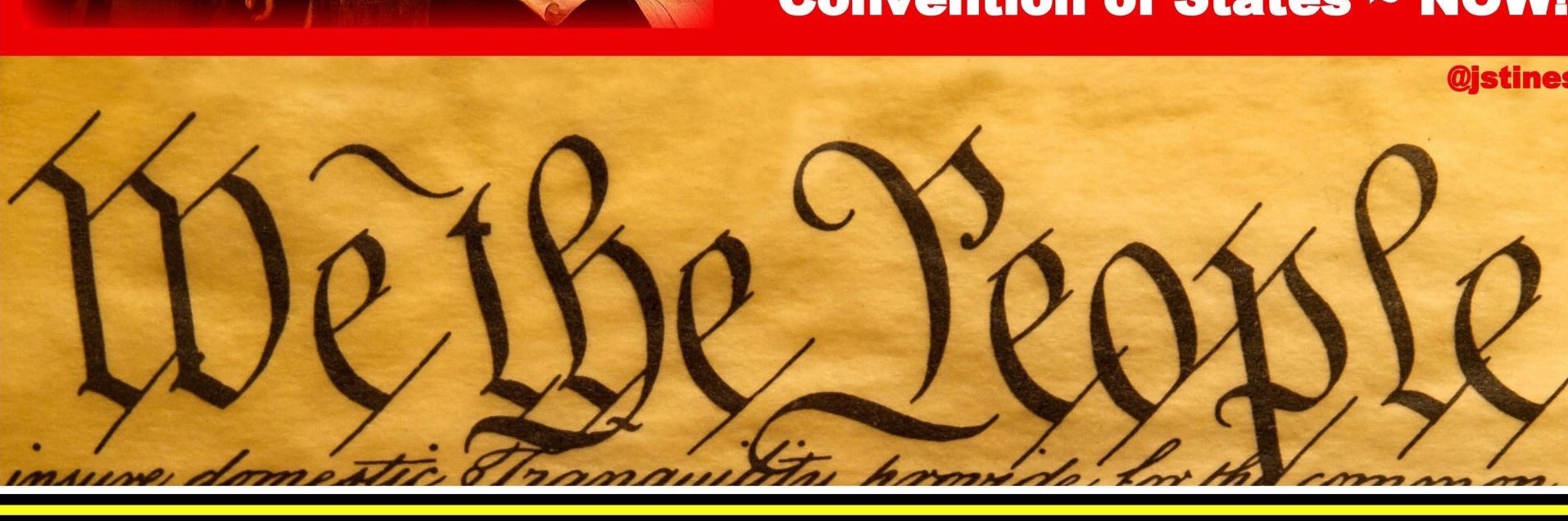 Free Speech Liberty Justice banner