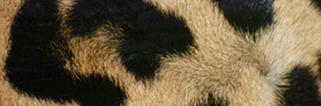 jlj17's profile banner image