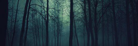 depressedscript's profile banner image