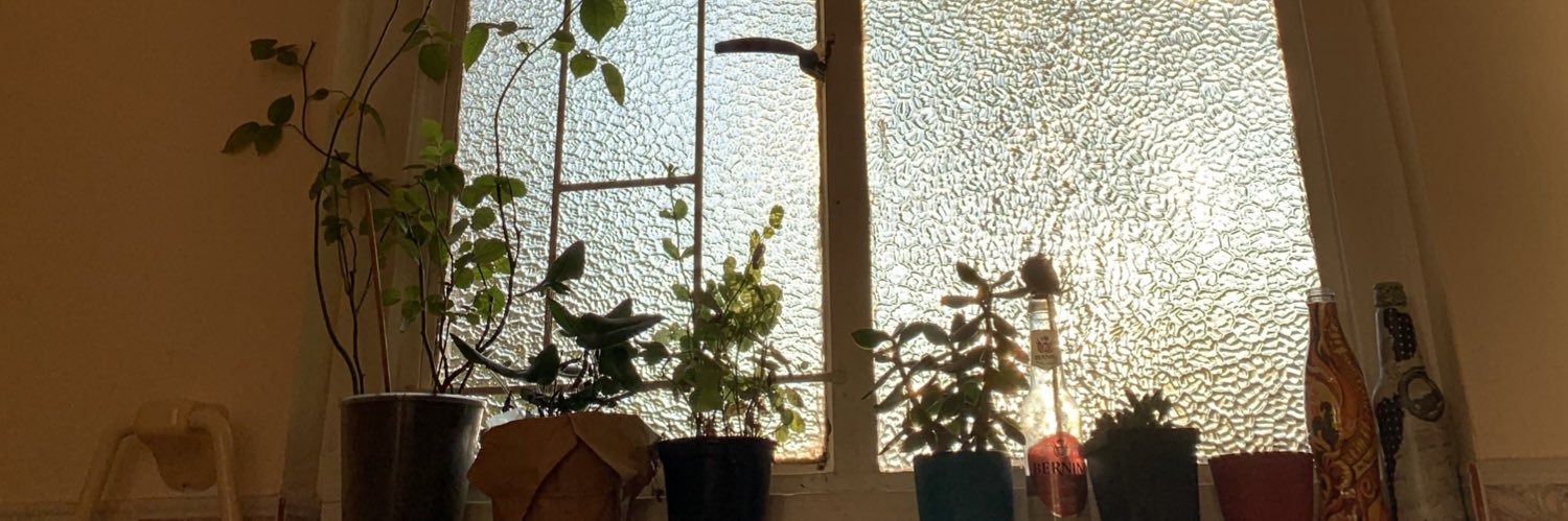 Books & Looks 🍉 banner