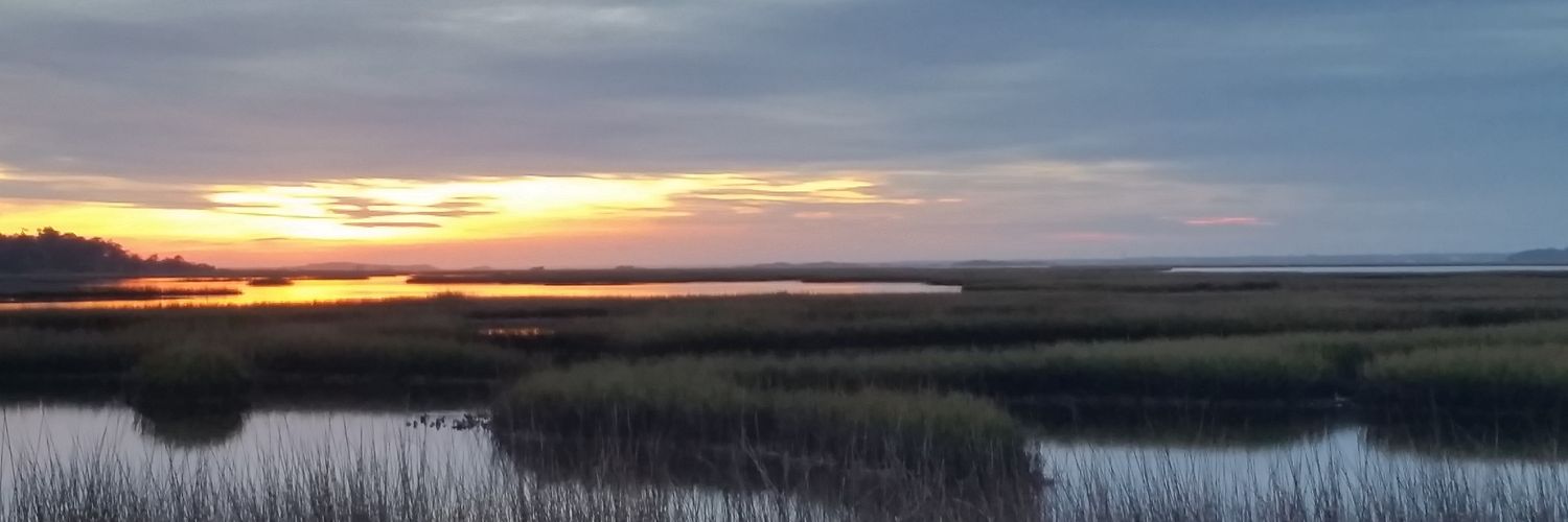 loristancill's profile banner image