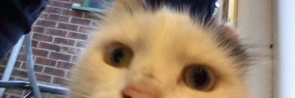 willgibbo94's profile banner image