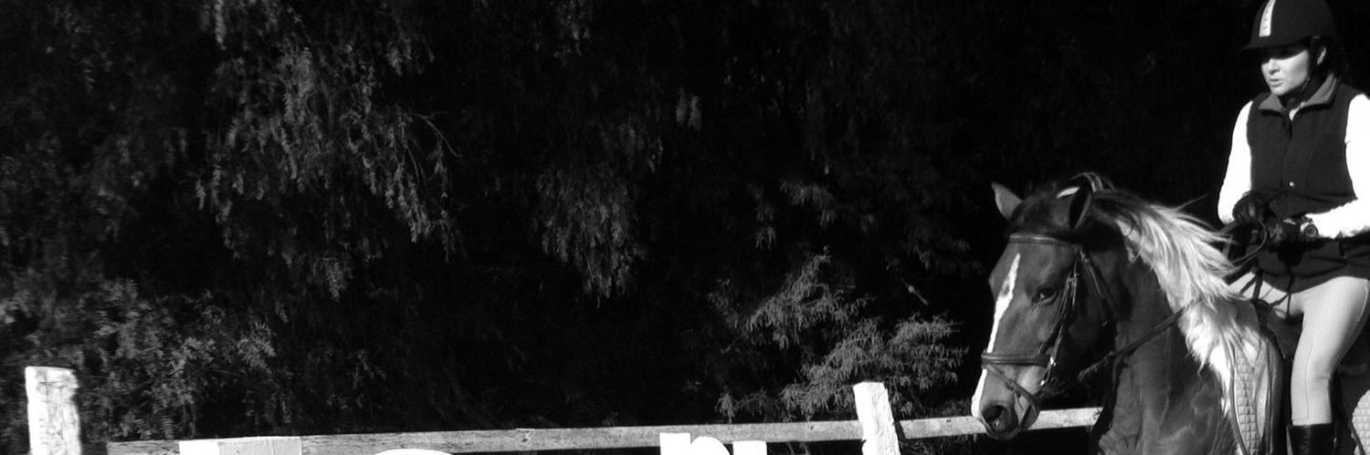 GrlGA's profile banner image
