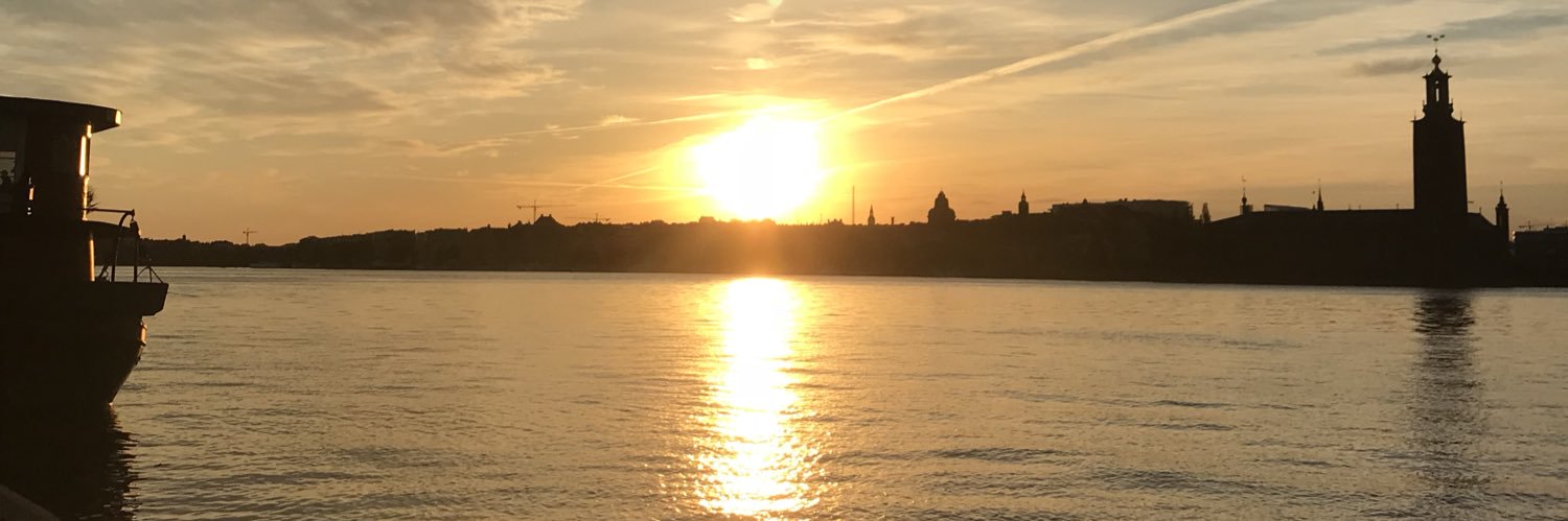 sussiehe's profile banner image
