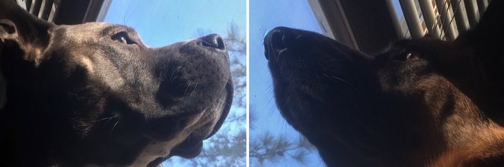 imseethru's profile banner image
