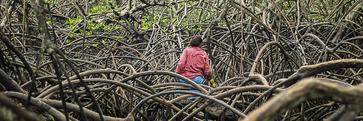 gustavo crespo banner