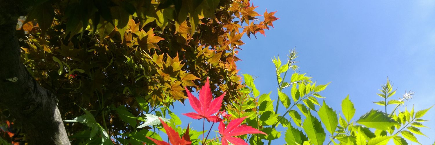 morichin81's profile banner image