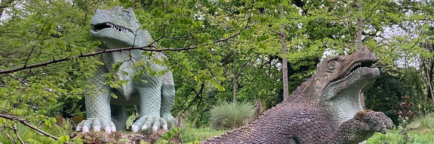 Mark A Rawlins banner