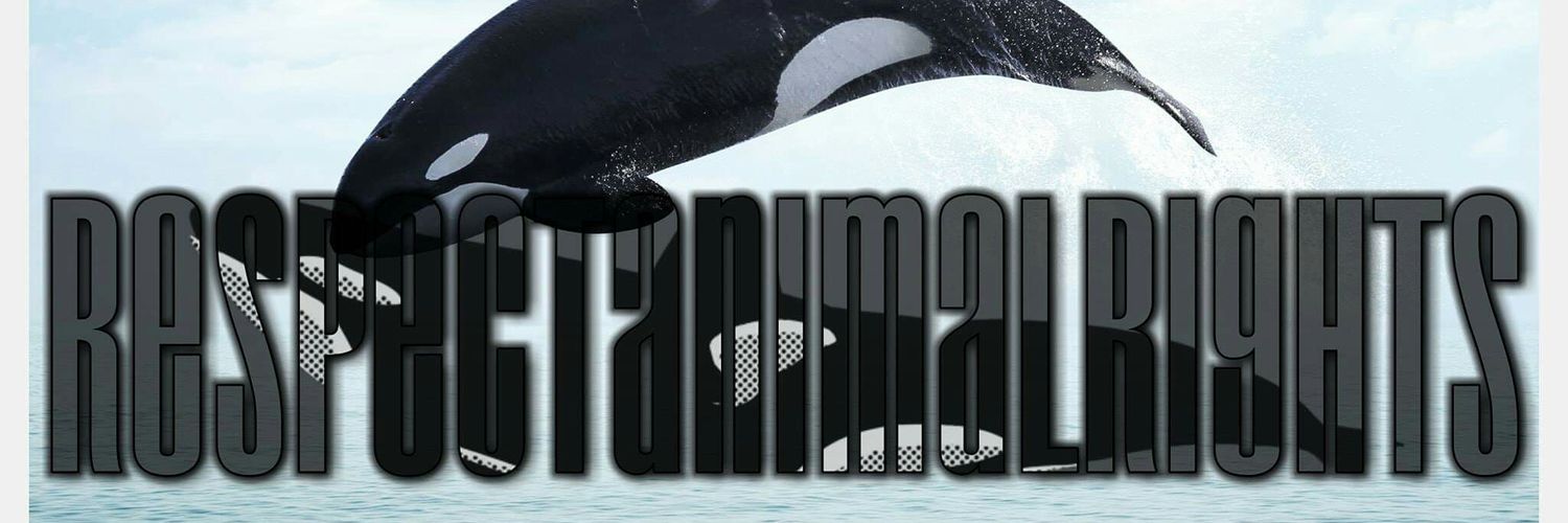 KimberlyRules's profile banner image