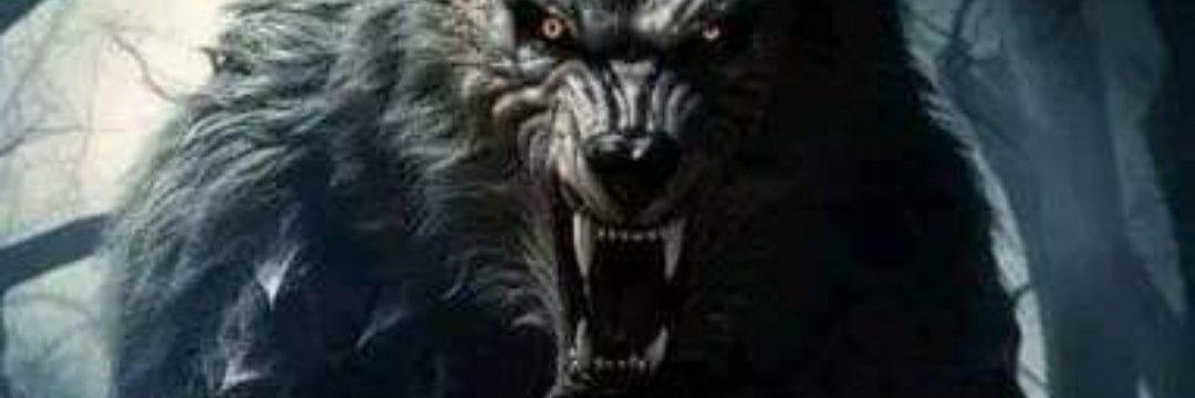 SSHERJonJon's profile banner image