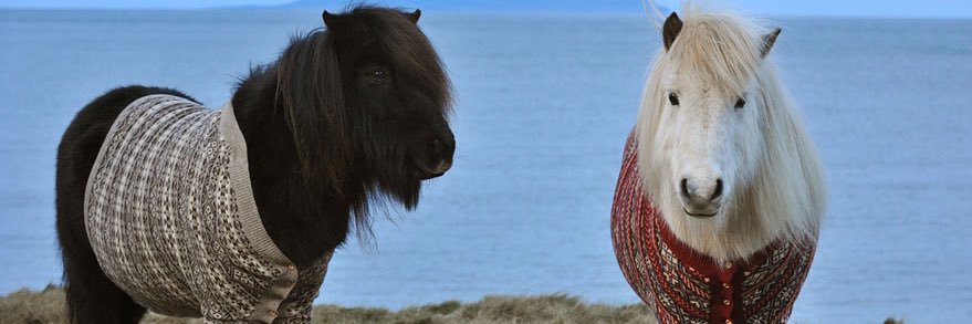 Gabs banner