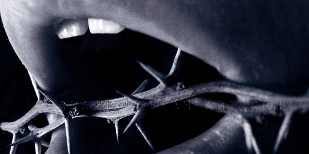 mangesy's profile banner image