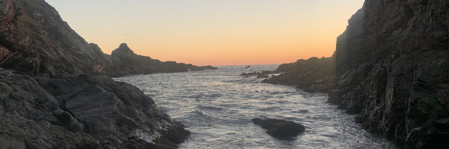 borrrex's profile banner image