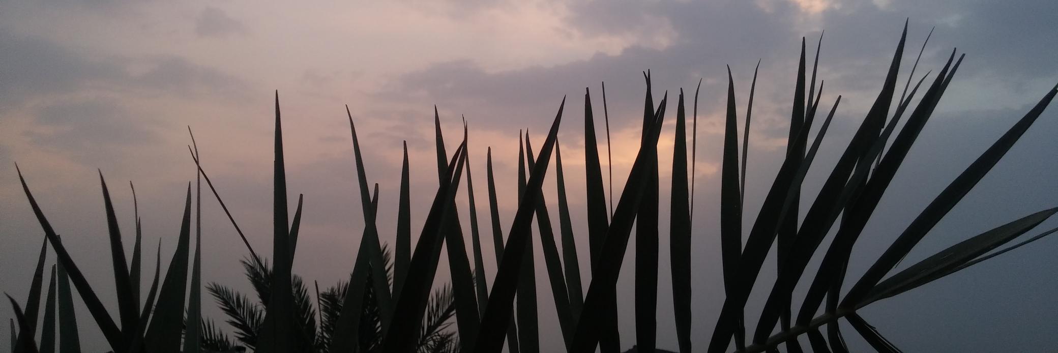 khaltwil's profile banner image