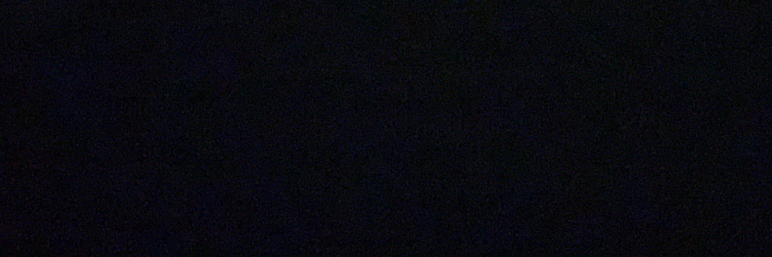 fatsegal's profile banner image
