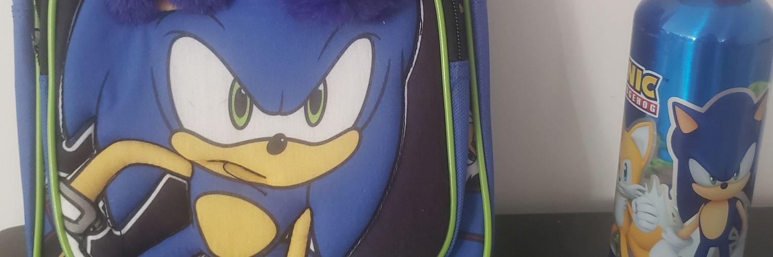 Soniclesang's profile banner image