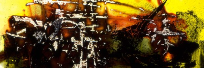 Dr. Oren Amitay banner