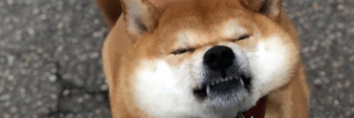 Gampootood's profile banner image