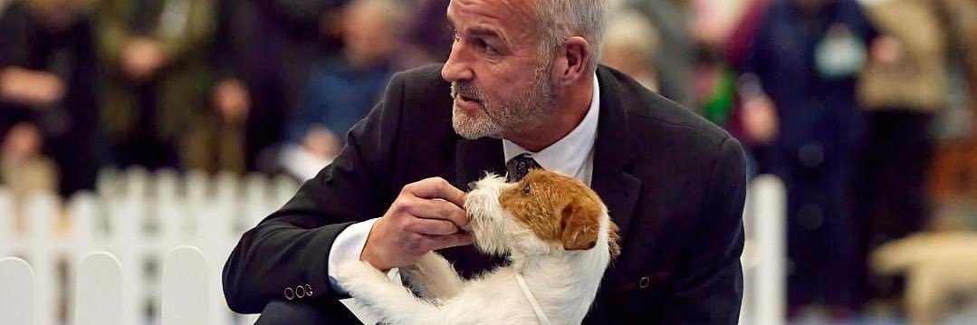 David Nicholson banner