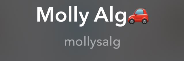 MollyAlg's profile banner image