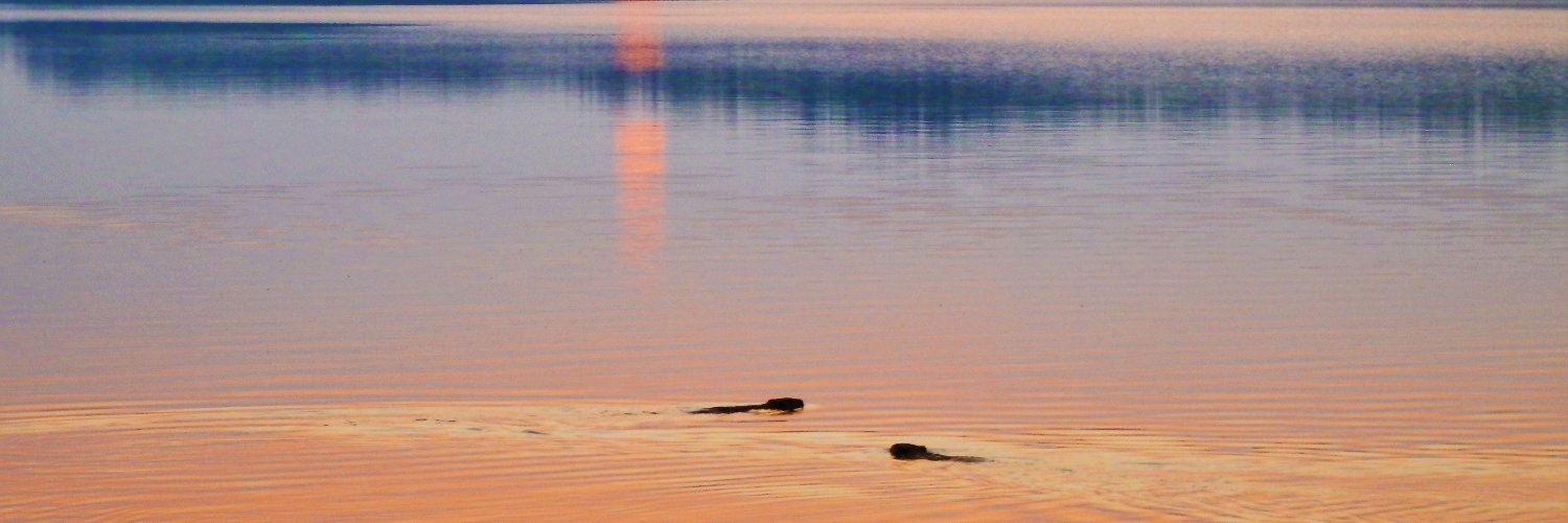 Aaron J. Stone, Ph.D. banner