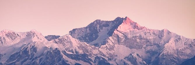 uɐʎɹq banner